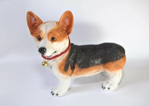 ĂR[M[u _ȑu H|i z[K[f RNV蕨 Ai