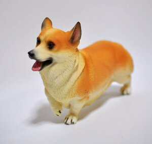 ĂR[M[~j`Au_ȑuH|iz[K[fRNV蕨Ai