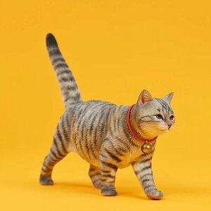 1/6TCY Tog̃ALtBMAu lRDv[gAiJXK-196A