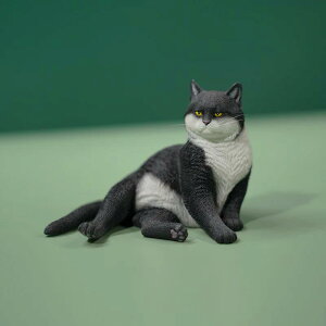 1/6TCY {̍L AtBMA lRu LDv[gAiJXK153-C