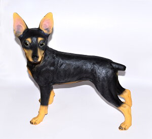 nƍՁIN[|ՂI[I~j`AEsV[ u z[CeA I[ig K[f Ő GgX蕨iAi)