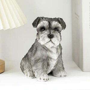 ~j`AEViEU[̎q I[igu z[fR v[g蕨Ai