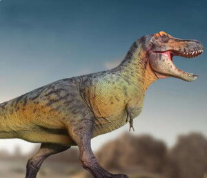 eBmTEX bNX f  j̓ 1/35 TCY@TCGXGfBV j㋰RNV