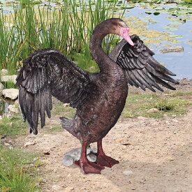 動物彫刻 ブラック・スワン（黒鳥）ガーデン彫像/ ガーデニング 芝生 庭園 園芸 作庭 広場 プール 記念品 プレゼント 贈り物（輸入品