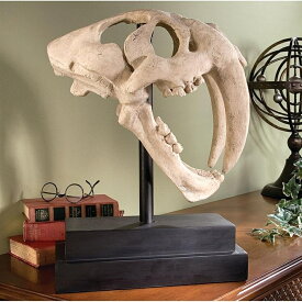 サーベルタイガーの頭骸骨（スカル）工芸品彫像 彫刻 更新世 ネコ科 スミロドンの頭骨 化石 古生物/ 生物学 プレゼント 贈り物（輸入品）