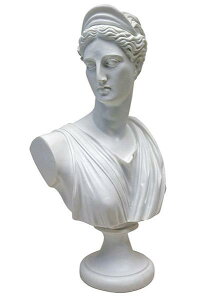 [IxTC{ã_CAi 嗝Ε u/ fBA[i [}_b ߂ƌ̏_ aj Ae~X v[g(Ais