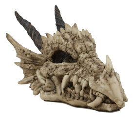 西洋彫刻 ドラゴンの頭骸骨 リアルな化石像 中世ファンタジーの為のミニチュア置物 魔法・ゲームオブスローンズ愛好家 彫像 贈り物(輸入品)