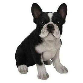 リアルな ブラック＆ホワイト色 フレンチブルドッグの子犬 ペットショップ 獣医 ドッグカフェ ペットホテル プレゼント 贈り物 （輸入品）