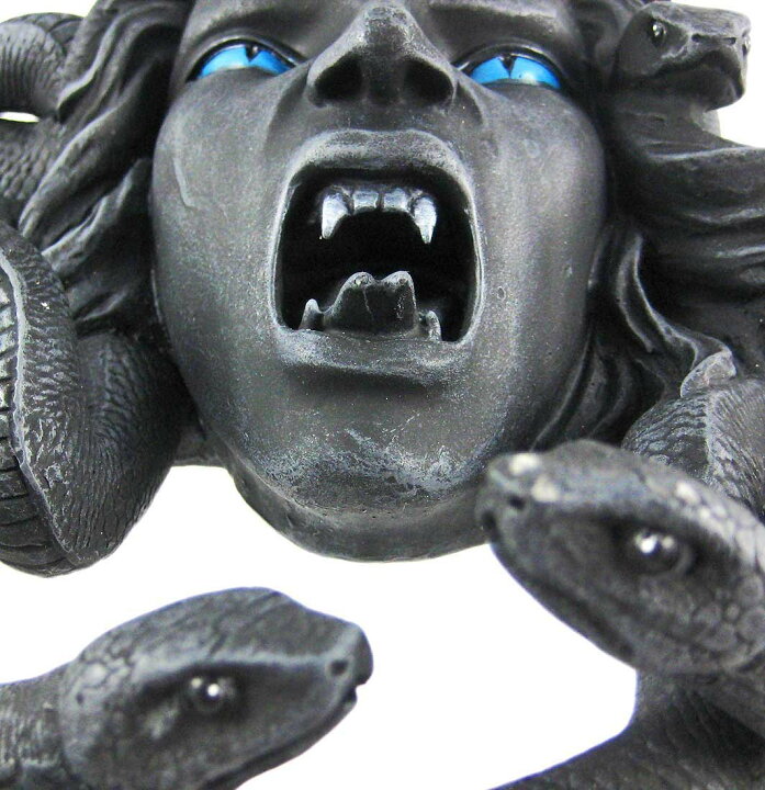 楽天市場 髪の毛は 蛇になった 恐ろしいメデューサ ゴルゴン 壁掛け彫刻 彫像 ギリシャ神話 ポセイドン アテナ ペスセウス 贈り物 輸入品 浪漫堂ショップ