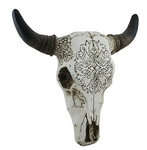 fUĈ Y [ Ǒ  / Tribal Design Carved White Bull Skull Wall HangingiAij