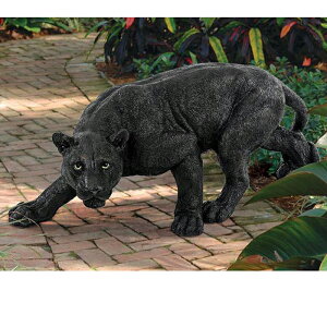 ^ NqE ubNpT[ K[f s[} VhEvf^[ pu JtF fBXvC rO Toi GRJtF  v[g[Ai