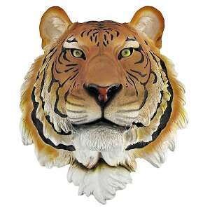 g() xKE^CK[ }Eg  / ДN ڎ Mo MMR쑷q ҏb MщJ Sb̉ v[g 蕨iAij