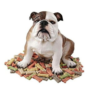 ij󉮁joX^[EUEuhbO   fUCEgXJm CeAu |bv pu hbOJtF VEEChE fBXvCiAi)