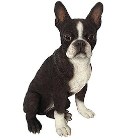 ボストンテリア（Boston Terrier） 犬の置物・オブジェ 彫像/ 原産 アメリカ合衆国 ブルドッグとイングリッシュ・テリア ペットショップ ドッグホテル プレゼント 贈り物（輸入品