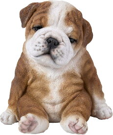 かわいい！座って眠そうな、ブルドッグ子犬 彫像 彫刻　ドッグカフェ パブ ペットショップ 贈り物 プレゼント/ Sitting Sleepy Bulldog Puppy（輸入品）
