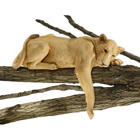デザイン・トスカノ製 アフリカ ナミビア砂漠の雌ライオン 彫像 彫刻/ サバンナ シシ（獅子）百獣の王 プレゼント 贈り物 記念品（輸入品）