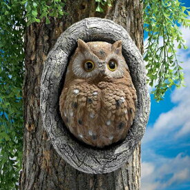 デザイン・トスカノ製 木の節穴の フクロウ(梟) 彫像 彫刻/ Design Toscano Knothole Owl Tree Sculpture(輸入品）
