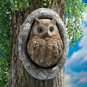 fUCEgXJm ؂̐ߌ tNE()  / Design Toscano Knothole Owl Tree Sculpture(Aij