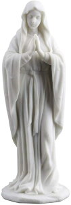 jꂽ}A   20cm/JgbN Ւd    LOi 蕨 v[giAij