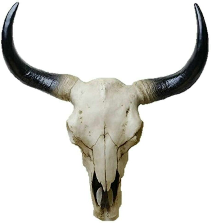 予約販売品 頭飾り動物彫刻彫刻ディスプレイ装飾頭蓋骨羊の頭 Ccps Sn