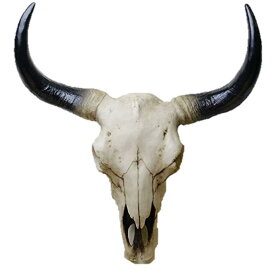 サウス・ウエスタン カウスカル（牡牛）頭骨 レプリカ ウォールハンギング 壁彫刻 彫像 ハンティング・トロフィー リビング（輸入品）