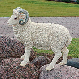 fUCEgXJm p h[Zbgr qcW  / Horned Dorset Sheep Statue(Ai