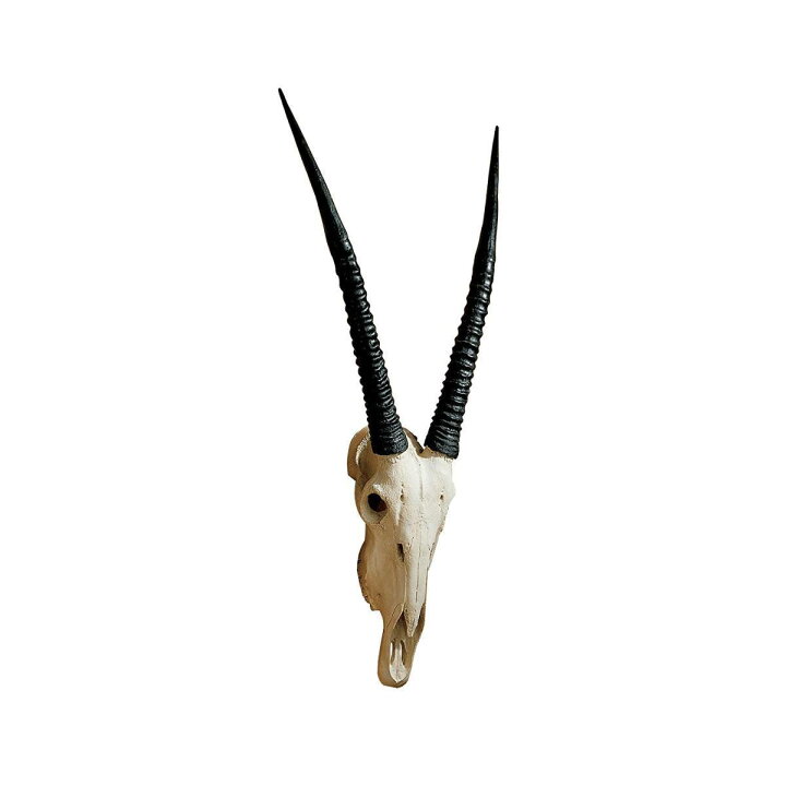 予約販売品 頭飾り動物彫刻彫刻ディスプレイ装飾頭蓋骨羊の頭 Ccps Sn