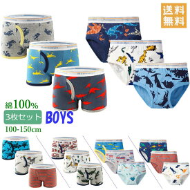 【LINE追加で10％OFFクーポン】送料無料 男の子 ショーツ インナー パンツ 綿100％ 3枚セット パンツ 下着 トランクス ブリーフ 男児 男の子 ショーツ かわいい パンツ 下着 キッズ セット ベビージュニア 通園 園児 保育園 男の子 かわいい