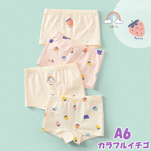 y12/8 X[p[SALE聚15%OFFN[|z̎q V[c  4Zbg Ci[pc {NT[pc 100 110 120 130 140 150 160 ̎q LbY 95% 5%|E^ V[c Ci[ q