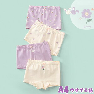 y12/7 X[p[SALE聚15%OFFN[|z̎q V[c  4Zbg Ci[pc {NT[pc 100 110 120 130 140 150 160 ̎q LbY 95% 5%|E^ V[c Ci[ q