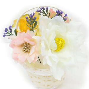  l U  4_Zbg  F   l  񂴂  Ǝ tH[}  ԏ uC_  W38 W303-286  F  n801@WSi