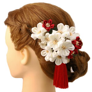  l U  Ǝ   2_Zbg    a m 񂴂   ܂ݍ׍H ߂tH[} ԏ ʏ uC_ W 78 304-302   p801@Si