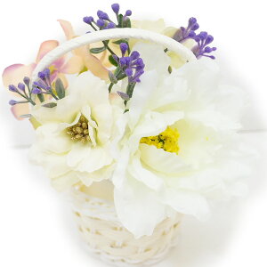  l U  4_Zbg  F  l  񂴂  Ǝ tH[}  ԏ uC_  W38 W303-286  ItzCg F n802@WSi