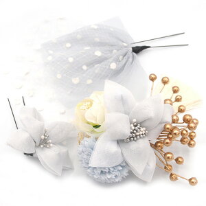  3_Zbg s w a  l  O[ `[ p[ a   U  ܎O q LbY wAANZT[  R[ Ă΂ 傫 { 