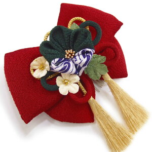  l U  b l  񂴂  Ǝ tH[}  ԏ ܂ݍ׍H { ߂ uC_ W  304-209 b705@WSi