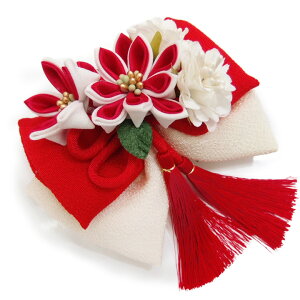  l U  g  l  񂴂  Ǝ tH[}  ԏ ܂ݍ׍H { ߂ uC_ W  304-325 b706@WSi