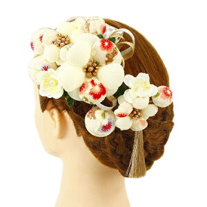  l U  Ǝ   3_Zbg    a m 񂴂   ܂ݍ׍H ߂tH[} ԏ ʏ uC_ W 75 304-367   p806@Si