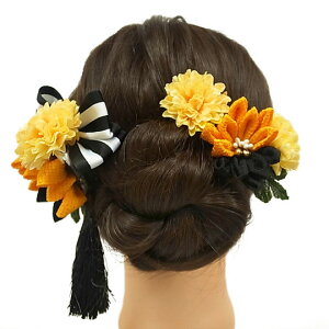   l U  3_Zbg F  l 񂴂  Ǝ tH[}  ԏ ܂ݍ׍H { ߂ uC_ W48  303-266 F n707@WSi