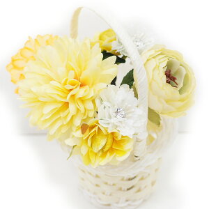  l U  5_Zbg   l  񂴂  Ǝ tH[}  ԏ uC_  W38 W303-289  F n807@WSi