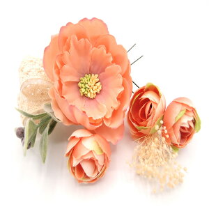  l U   2_Zbg sN {  w   Ǝ ܎O 753 uC_ OB a {  񂴂 lC tH[} ԏ   T[ W 2