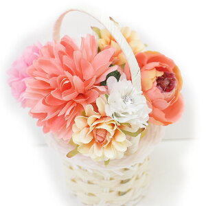  l U  5_Zbg IW  l  񂴂  Ǝ tH[}  ԏ uC_  W38 W303-289   n808@WSi