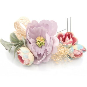  l U   2_Zbg  {  w   Ǝ ܎O 753 uC_ OB a {  񂴂 lC tH[} ԏ   čՂ TL