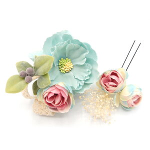  l U   2_Zbg F {  w   Ǝ ܎O 753 uC_ OB a {  񂴂  lC tH[} ԏ  čՂ u[