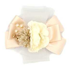  s w a  l  {  p[ `[ a   U  ܎O q LbY wAANZT[ R[  Ă΂ 傫 { 