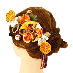  l U  Ǝ   3_Zbg    a m 񂴂   ܂ݍ׍H ߂ tH[} ԏ ʏ uC_ W 86 304-317   p810@Si