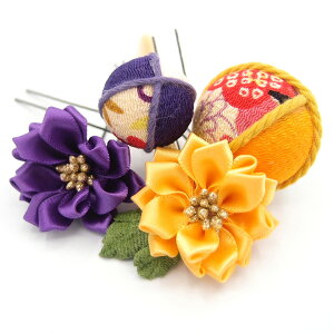  l U   4_Zbg F  ܂ݍ׍H   w   Ǝ ܎O 753 uC_ OB { 񂴂 tH[} ԏ ʏ   JV W 2