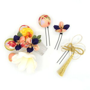  4_Zbg   ܂ݍ׍H  l   a   U  hX ܎O q  Ǝ w  wAANZT[ wAR[  { 傫 T