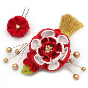  2_Zbg s w a   ܂ݍ׍H l  a   U  ܎O q LbY Ă΂ Ǝ w  R[ wAANZT[ { 