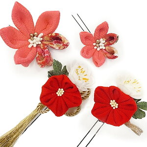   l U  4_Zbg sNIW  l 񂴂  Ǝ tH[}  ԏ ܂ݍ׍H { ߂ uC_ W48  303-259 IWs