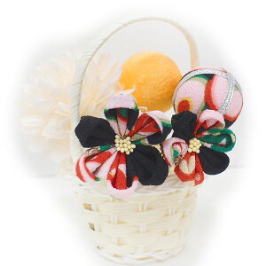  l U  5_Zbg  sN IW a  l  񂴂  Ǝ tH[}  ԏ ܂ݍ׍H ߂  W40 W303-300   n819@WSi